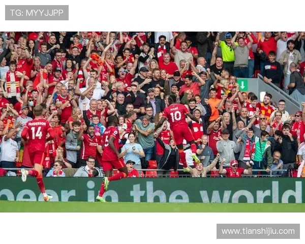 水晶宫队官网为海外球迷提供的多语种支持与观看指南