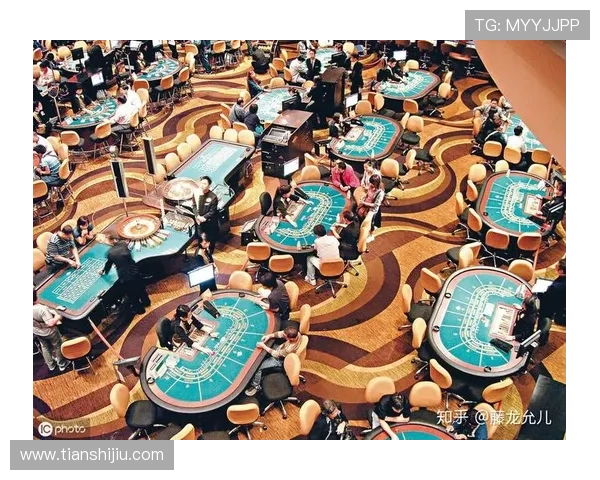 深入了解澳门六大赌牌的申请流程与审批标准，助你把握投资与经营机会